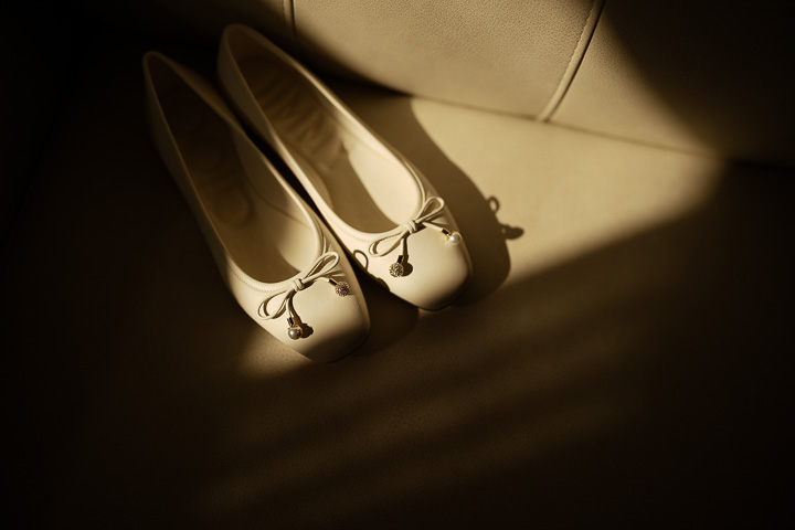 Preceremony showcase background 10